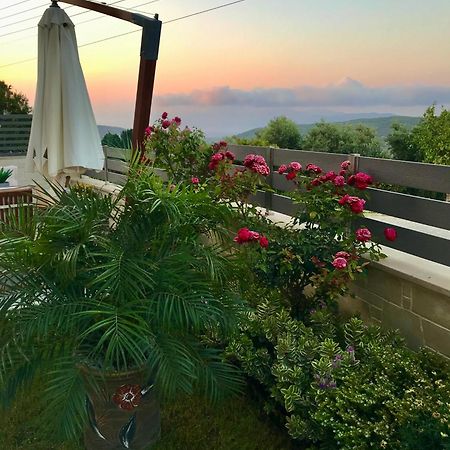 Villa Chryssi Kíssamos Exteriör bild
